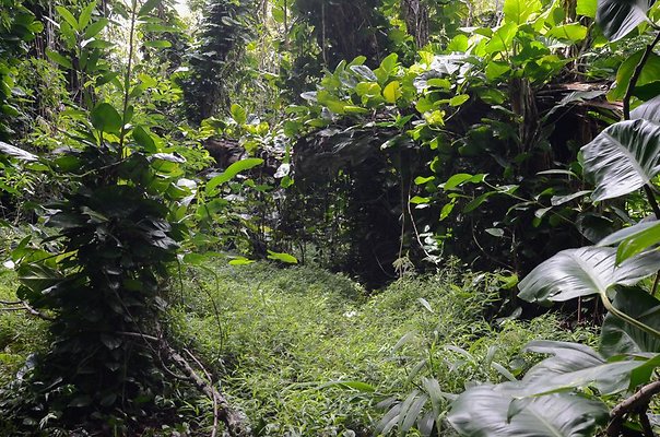 th DSC9811 th DSC9811