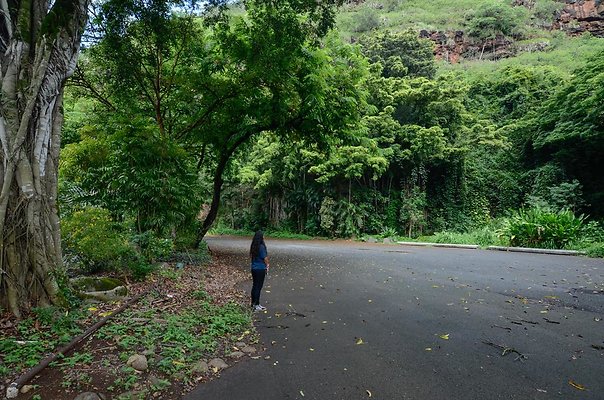 th DSC9825 th DSC9825