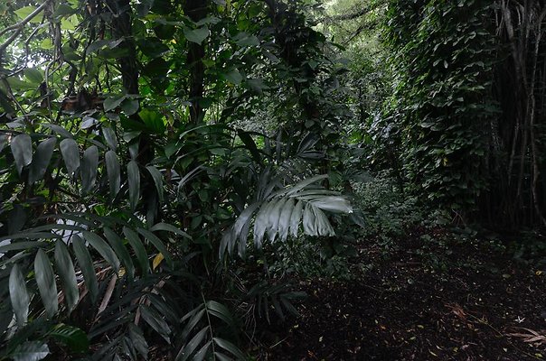 th DSC9786 th DSC9786