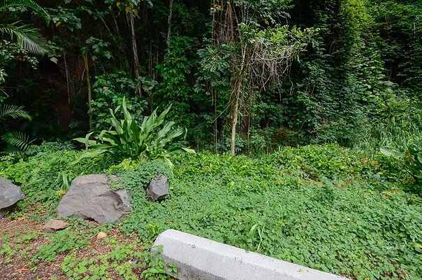 th DSC9832 th DSC9832