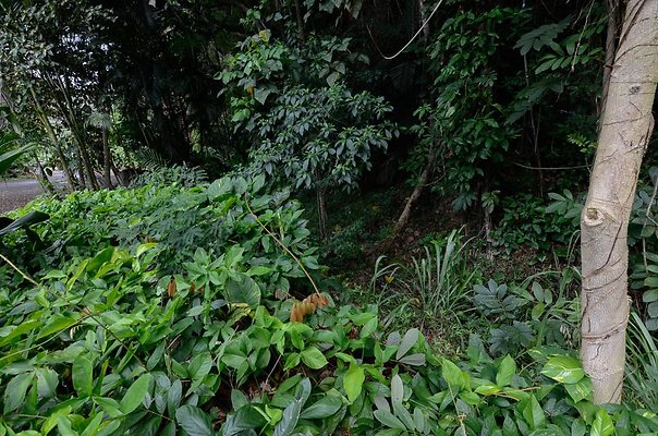 th DSC9839 th DSC9839