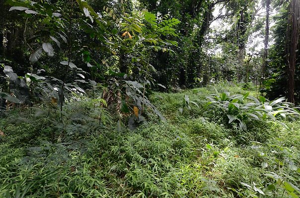 th DSC9803 th DSC9803