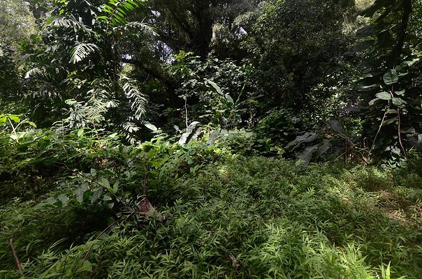 th DSC9807 th DSC9807