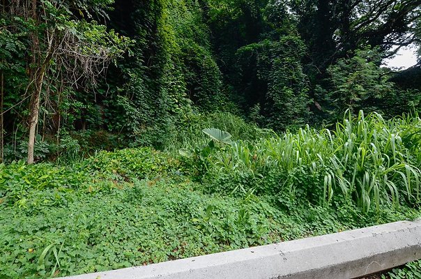 th DSC9831 th DSC9831