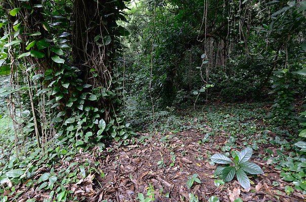 th DSC9816 th DSC9816