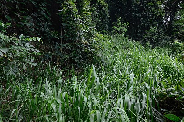 th DSC9843 th DSC9843