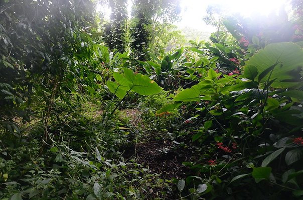 th DSC9789 th DSC9789