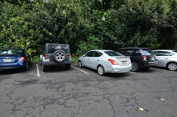 th DSC9823 th DSC9823