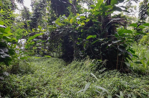 th DSC9813 th DSC9813