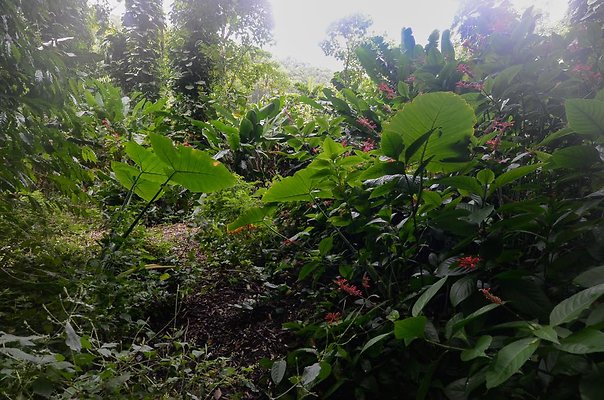 th DSC9791 th DSC9791