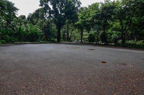 th DSC9835 th DSC9835