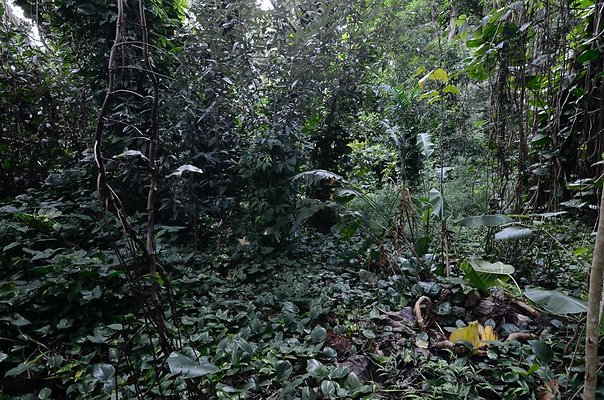 th DSC9818 th DSC9818