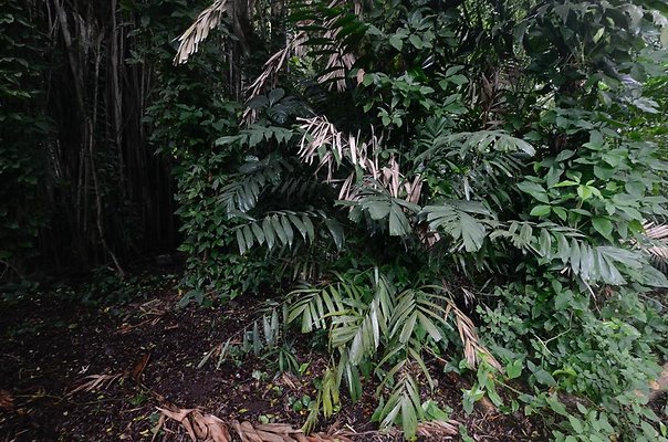 th DSC9787 th DSC9787