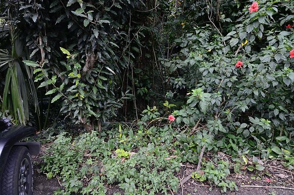 th DSC9820 th DSC9820