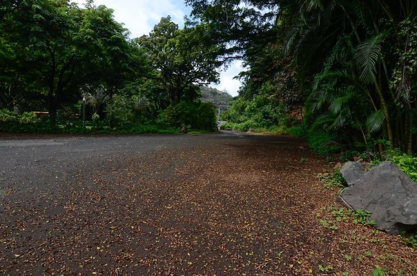 th DSC9837 th DSC9837