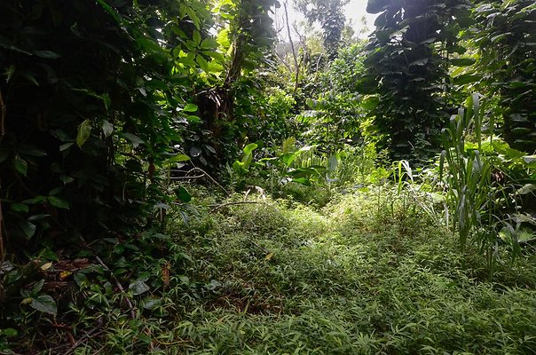 th DSC9805 th DSC9805