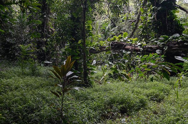 th DSC9814 th DSC9814