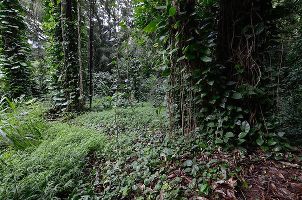 th DSC9817 th DSC9817