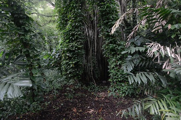 th DSC9785 th DSC9785