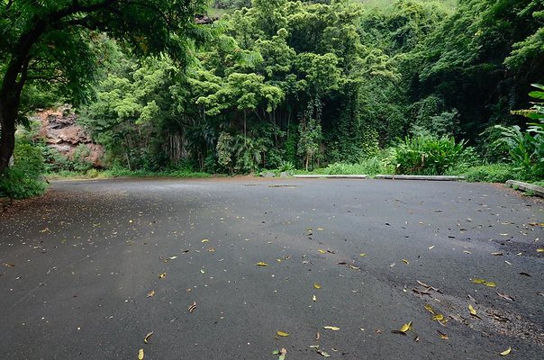 th DSC9829 th DSC9829