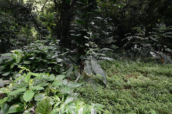 th DSC9800 th DSC9800