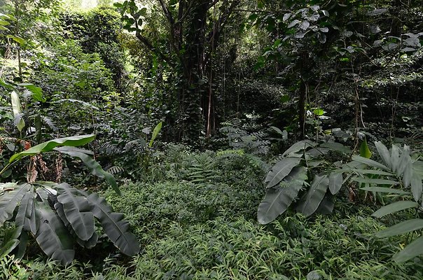 th DSC9801 th DSC9801