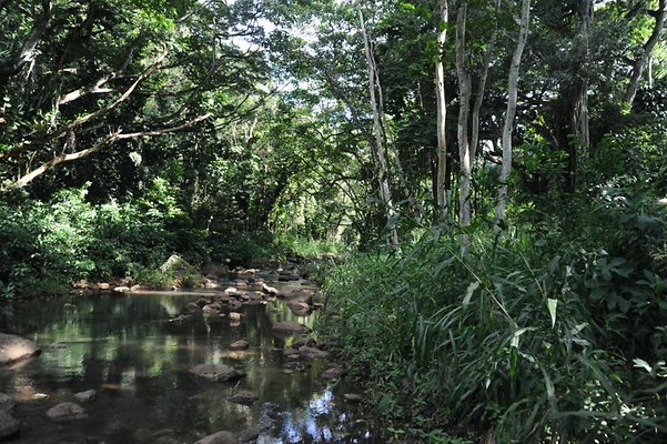 th DSC 8056 th DSC 8056