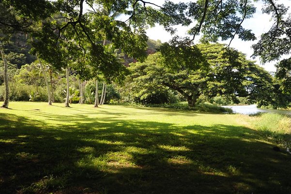 th DSC 8019 th DSC 8019