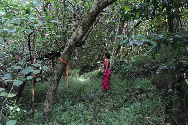 th DSC 8044 th DSC 8044