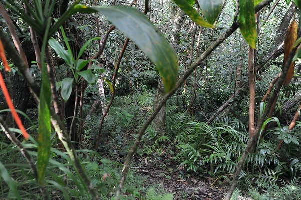 th DSC 8047 th DSC 8047