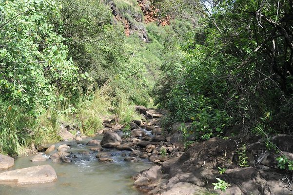 th DSC 8041 th DSC 8041