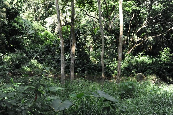 th DSC 8060 th DSC 8060