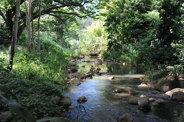 th DSC 8062 th DSC 8062