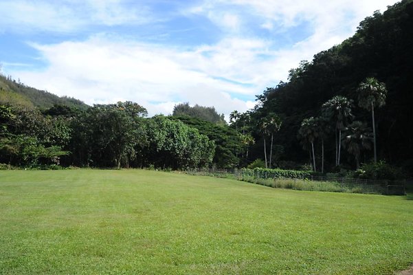 th DSC 8008 th DSC 8008