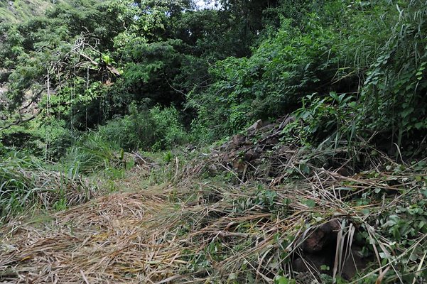 th DSC 8053 th DSC 8053