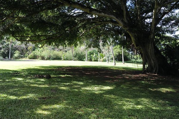 th DSC 8013 th DSC 8013