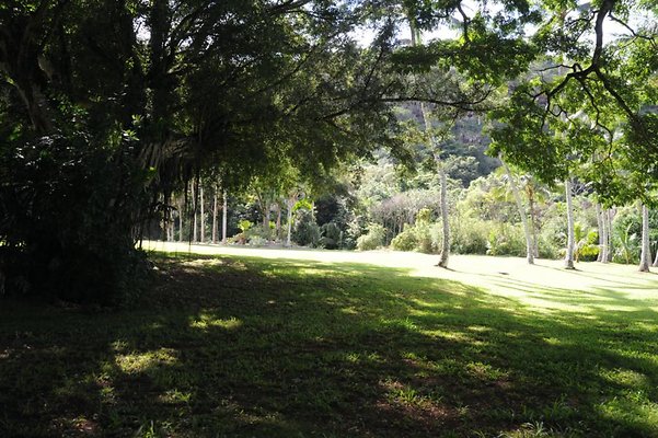 th DSC 8018 th DSC 8018