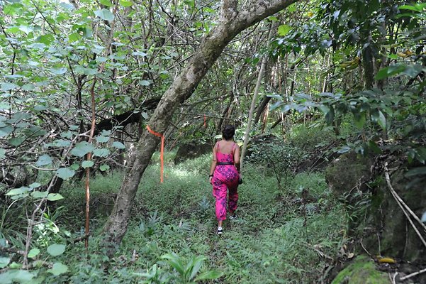 th DSC 8043 th DSC 8043