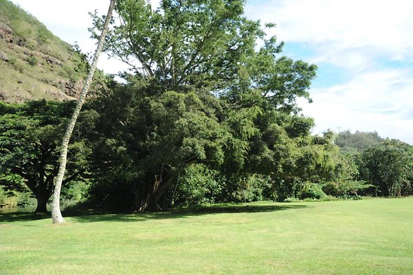 th DSC 8022 th DSC 8022