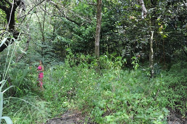 th DSC 8042 th DSC 8042