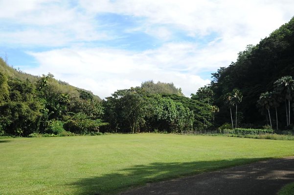 th DSC 8027 th DSC 8027