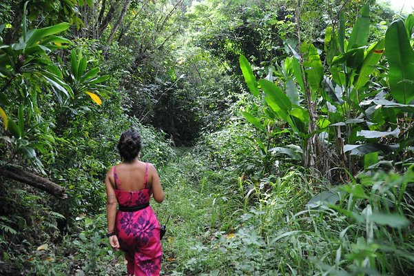 th DSC 8049 th DSC 8049