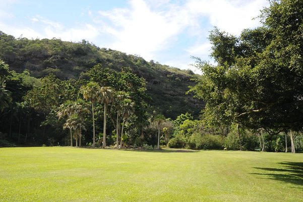 th DSC 8011 th DSC 8011