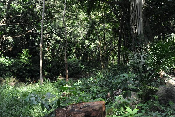 th DSC 8061 th DSC 8061