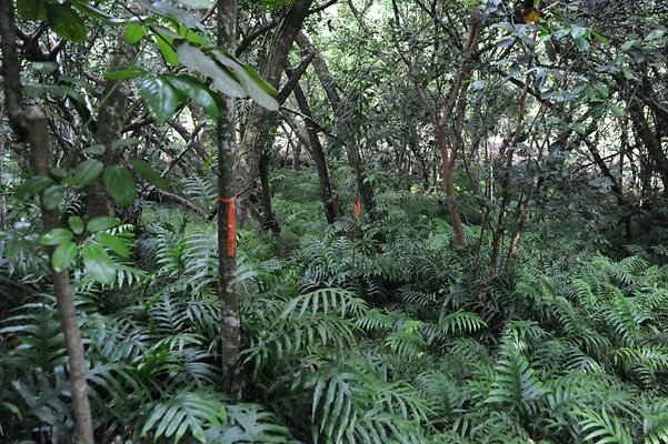 th DSC 8046 th DSC 8046