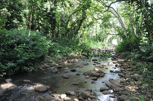 th DSC 8065 th DSC 8065