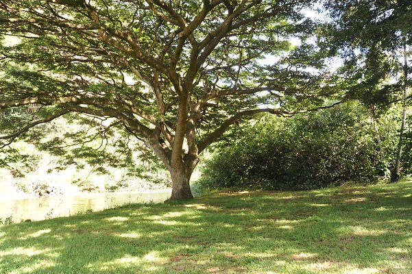 th DSC 8020 th DSC 8020