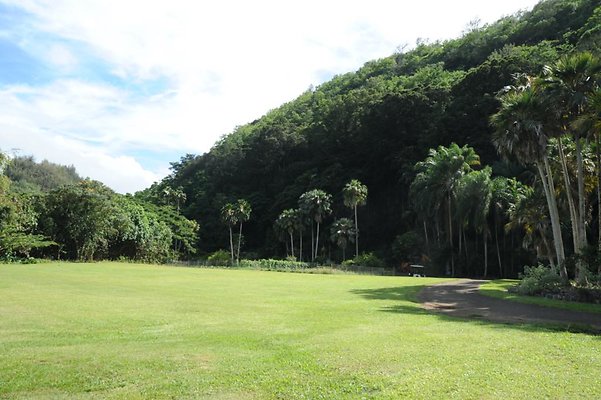 th DSC 8023 th DSC 8023