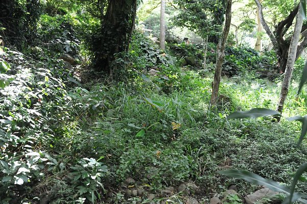 th DSC 8067 th DSC 8067