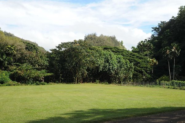 th DSC 8025 th DSC 8025